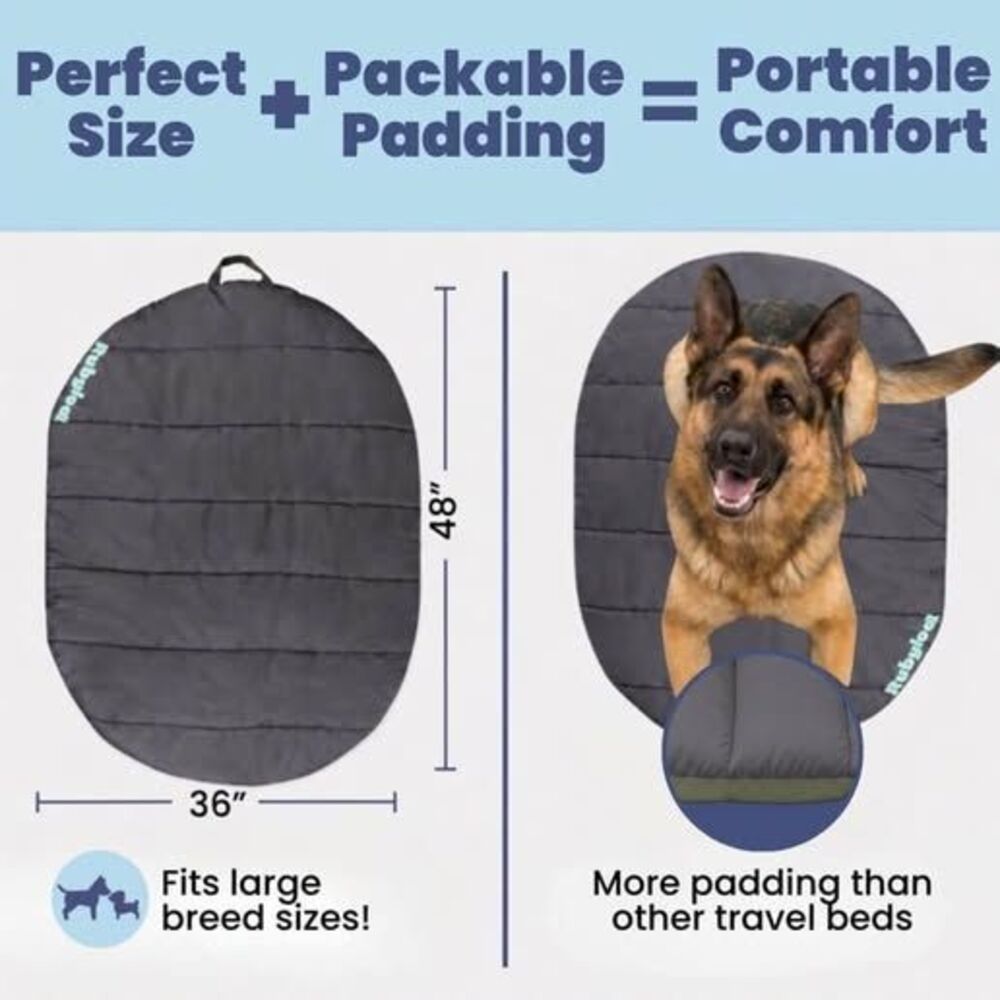 New Travel Dog Bed, 48x36in, Foldable & Packable with Carry Bag, Black C1022